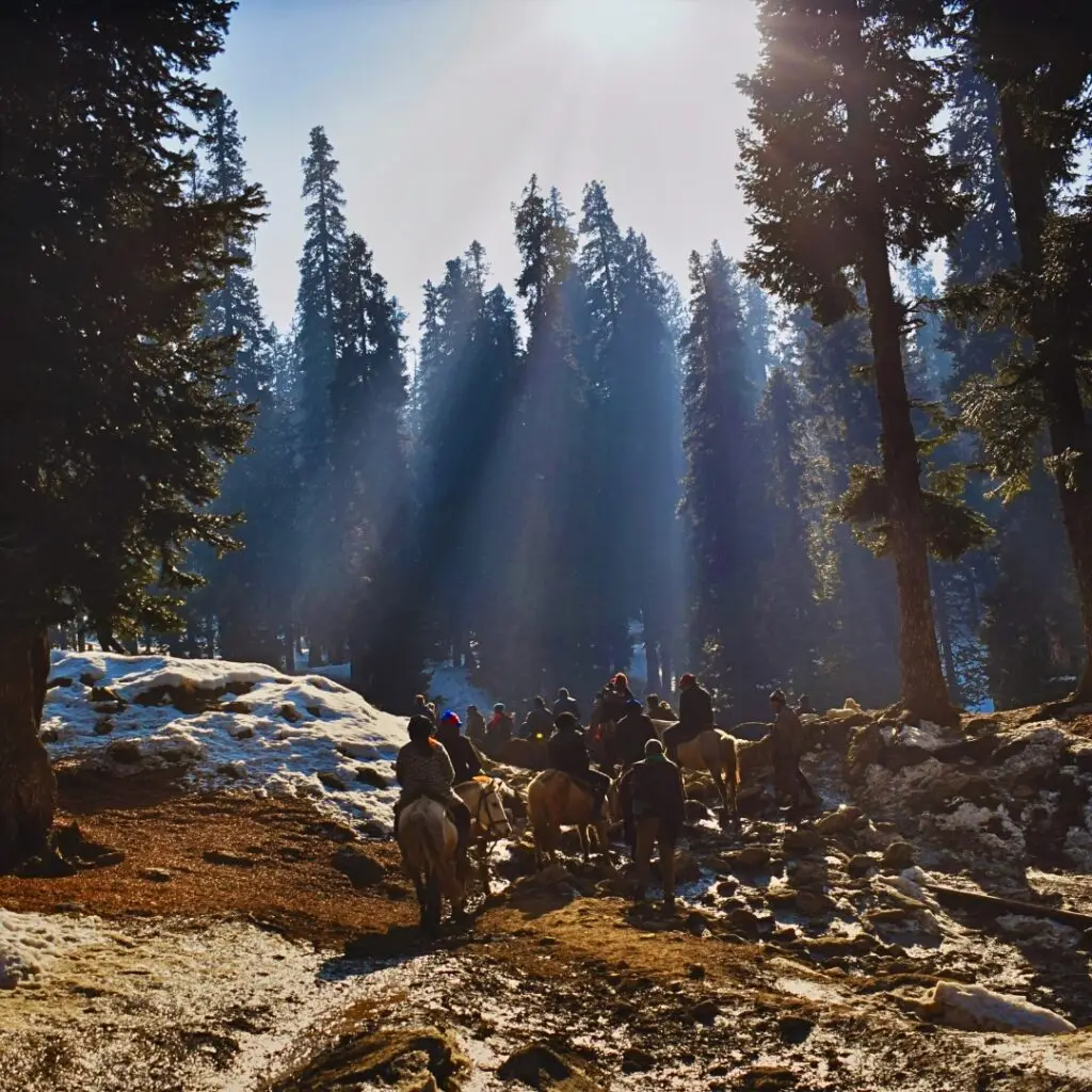 Kashmir Trekking Tour